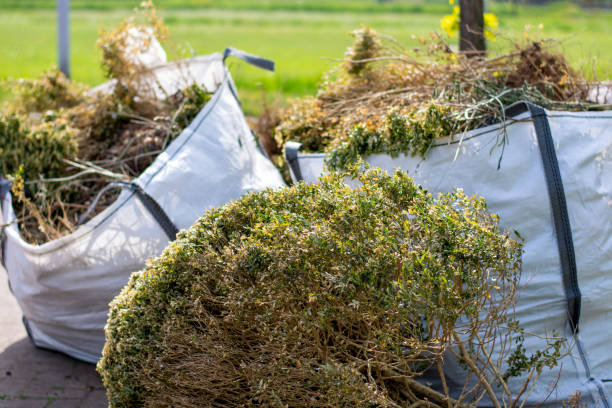 Best Recycling Services for Junk  in Beechwood, MS